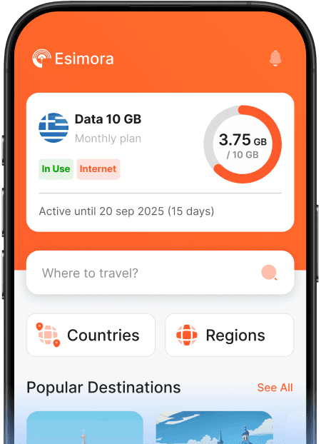 eSIM connectivity app showing plan overview and usage
